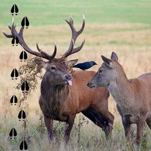 Meet your Posher, Tara